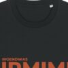 Logo-Shirt (orange) | unisex, bio, OEKOTEX-100, verschiedene Farben | 🛜 IRMIMI